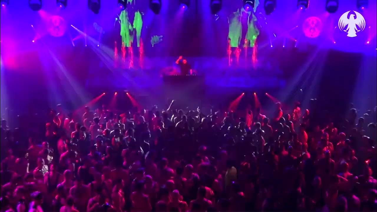DJ Livestreams